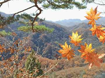 饑荒最新補(bǔ)丁，游戲更新與生存挑戰(zhàn)的新篇章